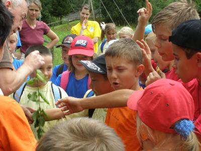 Netzwerk Kolibri - Sommercamp 2007